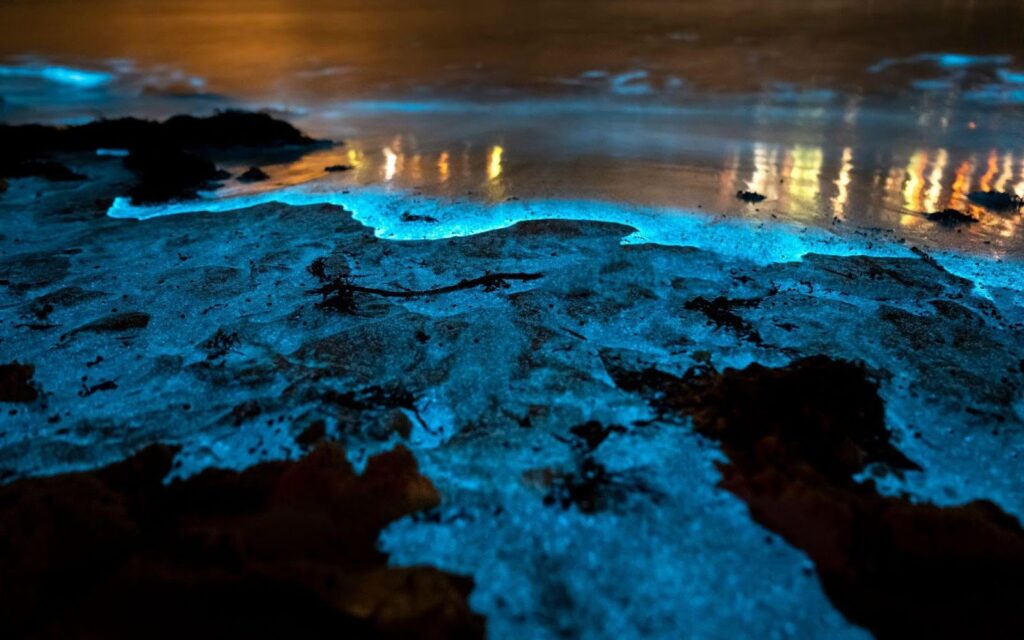 Jervis Bay, Australia