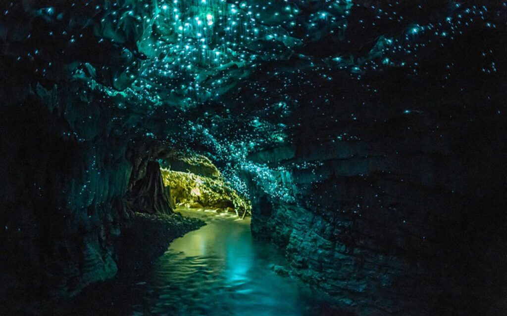 Waitomo Caves, New Zealand