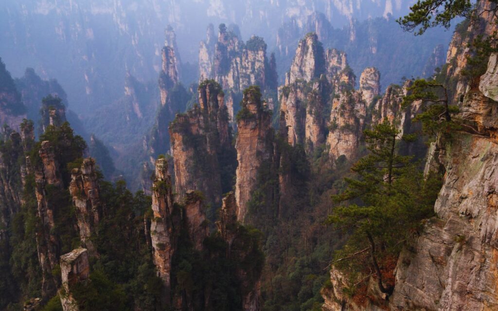 Tianzi Mountains, China