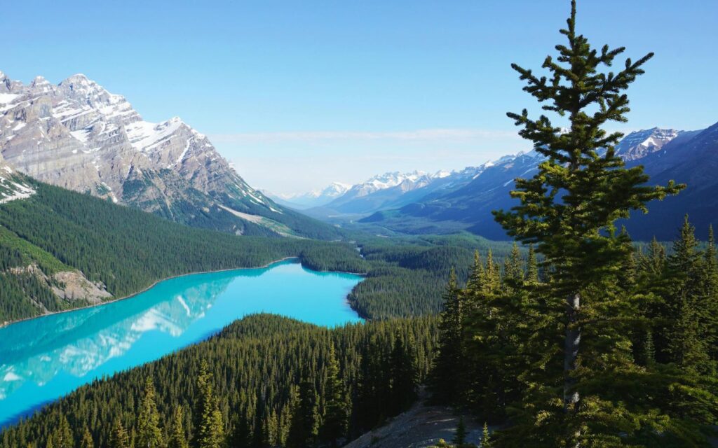 Peyto Lake, Alberta, Canada