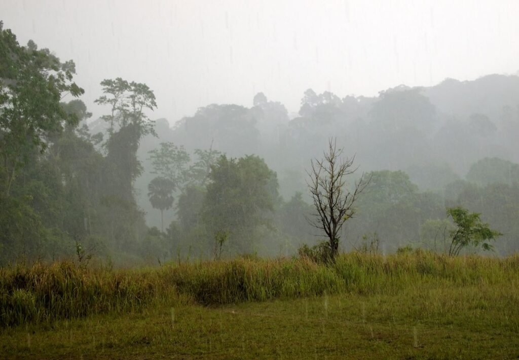 Monsoon conditions in Thailand