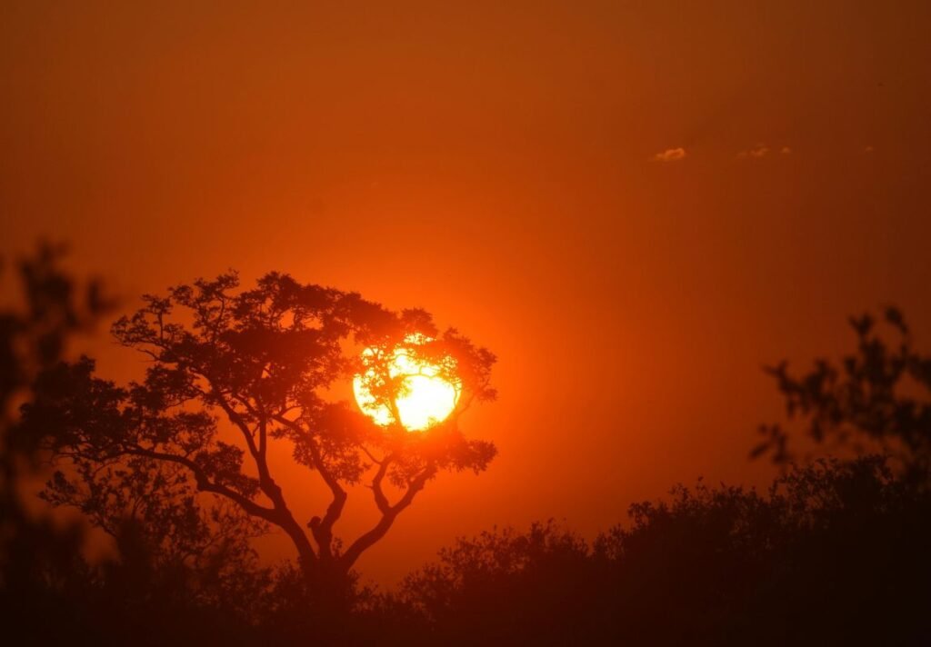 Sunset on a safari