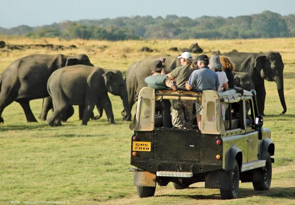 A jeep on safari