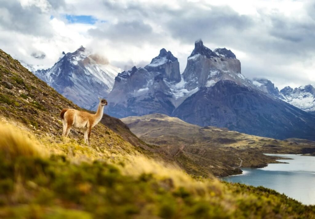 Torres del Paine, Chile