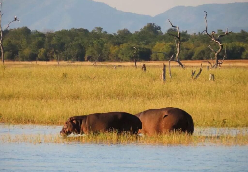 Matusadona National Park, Zimbabwe