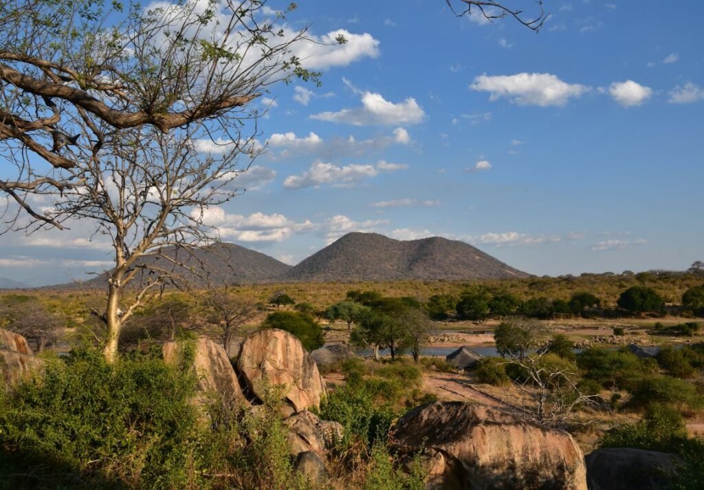 Ruaha National Park, Tanzania